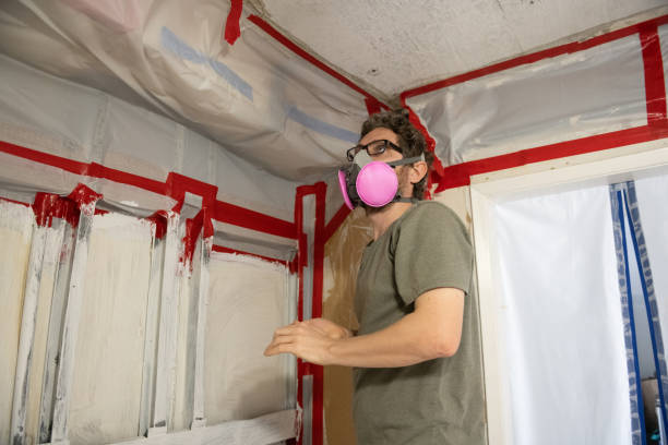  Aragon, GA Mold Removal Pros